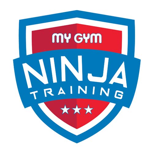 Ninja Training Combo
